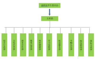 一封來自共青團(tuán)的信 讓大學(xué)生活多姿多彩，溫職院十二大組織招新啟航