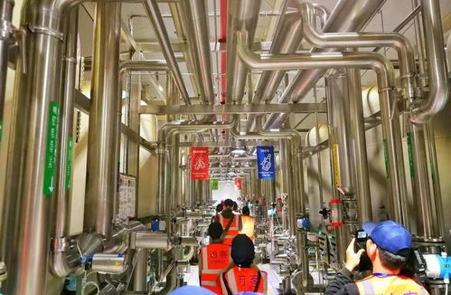 百威雪津 世界級智慧低碳工廠，黑科技護(hù)航啤酒誕生之旅與接待業(yè)務(wù)